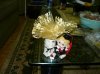 resized_P1000136.jpg