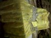 IMG00228-20100809-2247.jpg