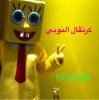 image.jpg