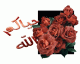 زهرة الليلك