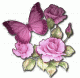 أم فهد 777