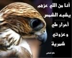 وهايب