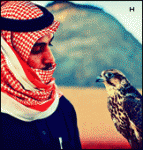 نجود2009