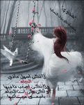 ام حربي