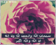 آمـ شهـد