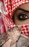النوير1