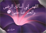 عفوك ربي