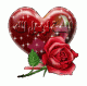 دلال2009
