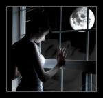نمله زهقانه