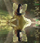 الجمال المستحيل