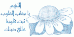 أم اليمان