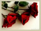 كنوز عابره