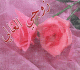 العنا