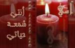 نووفا
