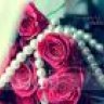 MISS^fofo