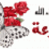 لولوئة الكويت