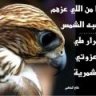 وهايب