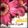 لمار**