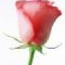 alia*q8