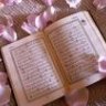 فراشة الصباح