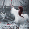 ام حربي