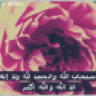 آمـ شهـد