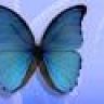 FaRaSHa_BLuE