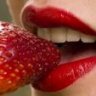 فراولة الربيع