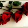 كنوز عابره