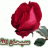 اممم