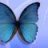 FaRaSHa_BLuE