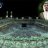 نبض السعوديه