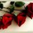 كنوز عابره