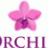 orchid.kw